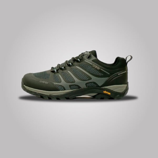 Zapatilla Outdoor Fitz Roy Vantablack N°39 D3si