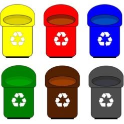 Papeleros Colores C/u