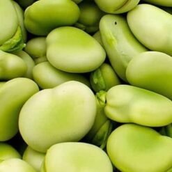 Semilla Haba Blanca S.agua Dulce Imp.(1 Kg)