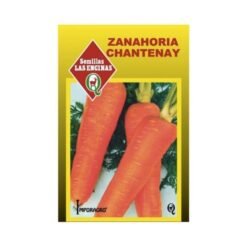 Semilla Zanahoria Chantenay R.c (100gr)