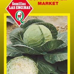 Semilla Repollo Blanco M.coenhague 100gr