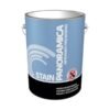Stain Polidecor Alerce Gl(panoramica)