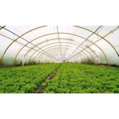 Nylon Invernadero 0.15x6mt Extendido