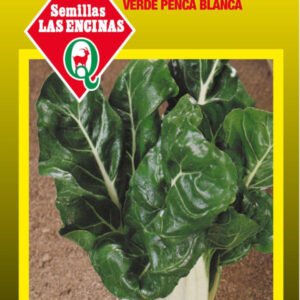 Semilla Acelga Verde P/blanca (100gr)