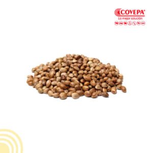 Semilla Espinaca Monst.viroflay (100gr)