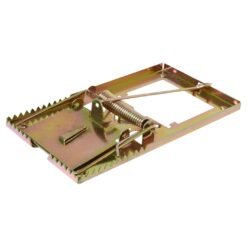 Trampa Raton Chica C/u