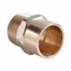 Terminal So-he 3/4" Bronce