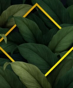 Cañeria Cobre 3/4" Tipo m (agua) x 6mts