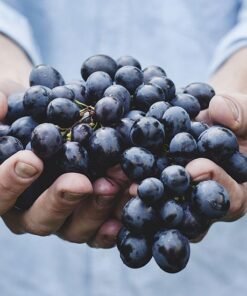 Aldaba Galvanizada Porta Canadado Uyustools 1" (adg001)