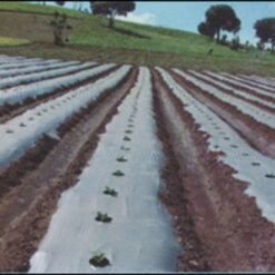 Nylon Frutilla 1.40 mt x 0.030 (mulch Bicolor)