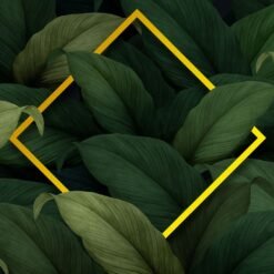 Tarugo Clavo 8x100 C/u